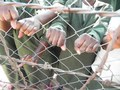 Sambia - Stärkung von Menschen im Strafvollzug und deren Familien